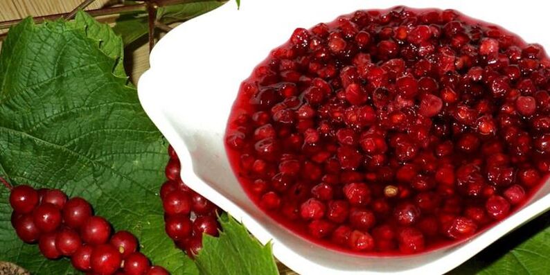 Schisandra potentzia handitzeko