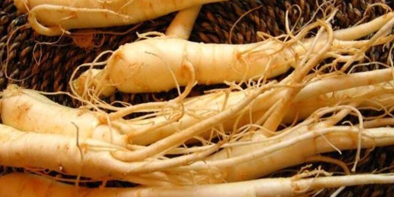 ginseng erro potentzia handitzeko
